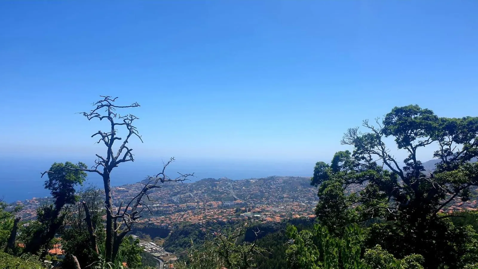 Apartamento Montecorujeira Funchal  Funchal (Madeira)