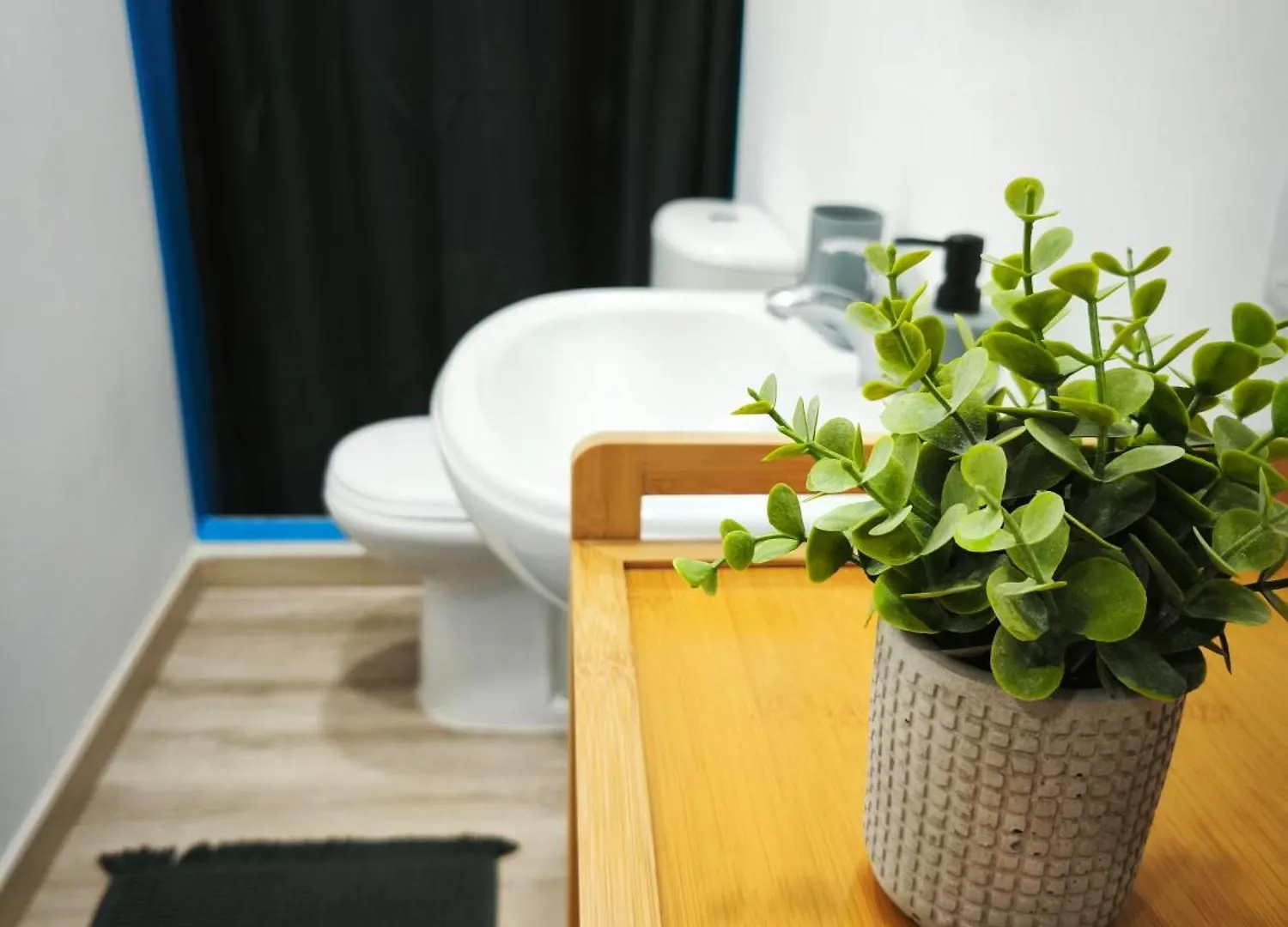 Apartamento Montecorujeira Funchal  Apartment Funchal (Madeira)